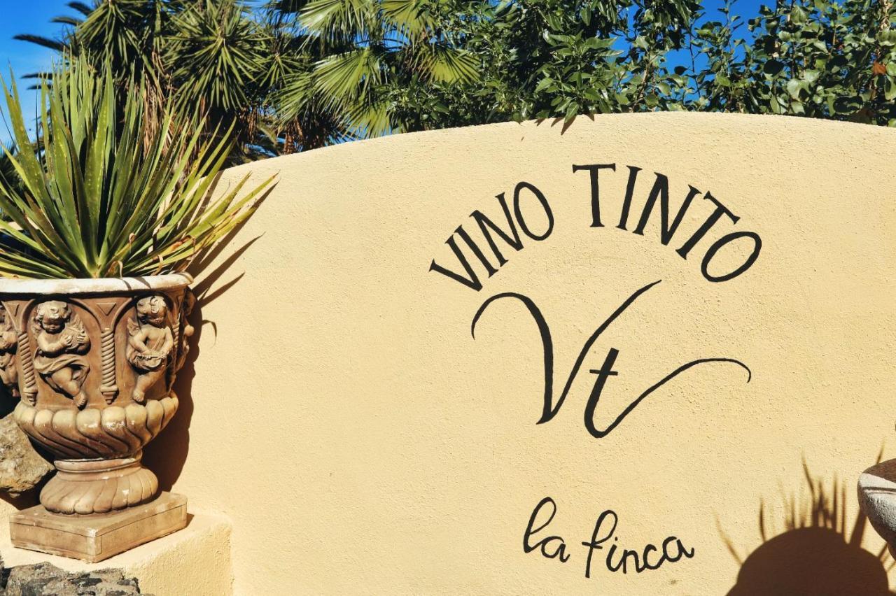 Finca Vino Tinto 2 Icod De Los Vinos Ngoại thất bức ảnh